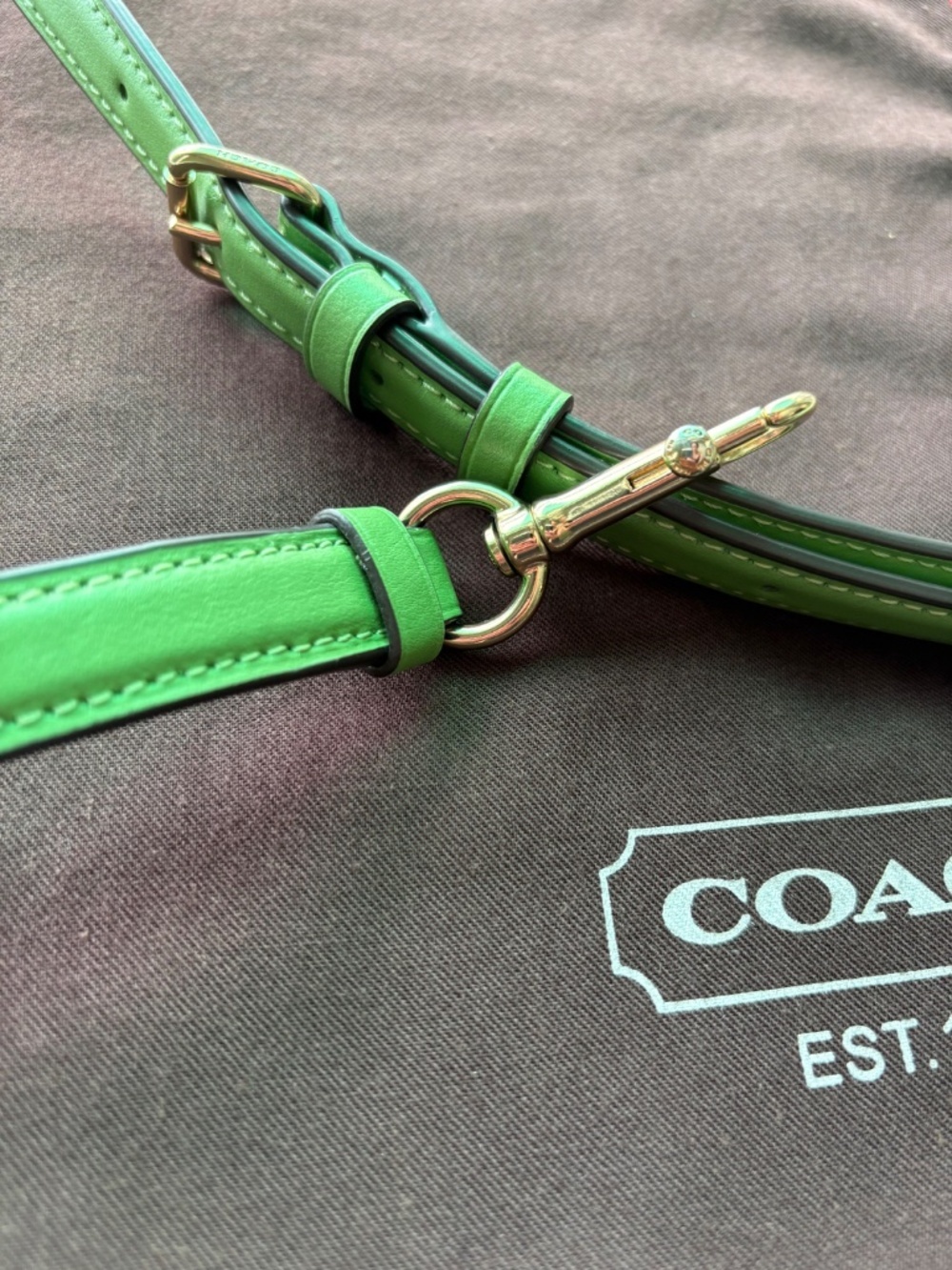 NEW ๐ Coach Apple Green Leather Adjustable Crossbody Replacement Strap - Picture 8 of 15